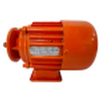 Motor Elétrico para troller 1 Tonelada CD/MD 0.2kw