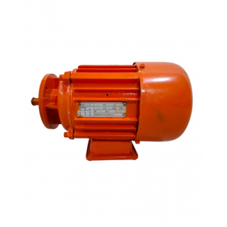 Motor Elétrico para troller...